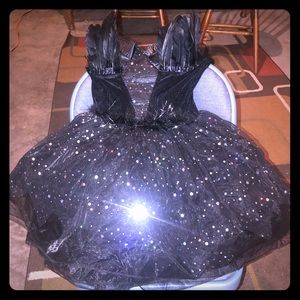 Black Swan Costume